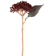 Une seule fleur artificielle d'hortensia séchée de couleur rouge bordeaux, d'une longueur de 38 cm, avec des pétales séchés rouge-brun, une grappe de petits bourgeons et une feuille verte sur une tige longue et mince, est représentée sur un fond blanc.