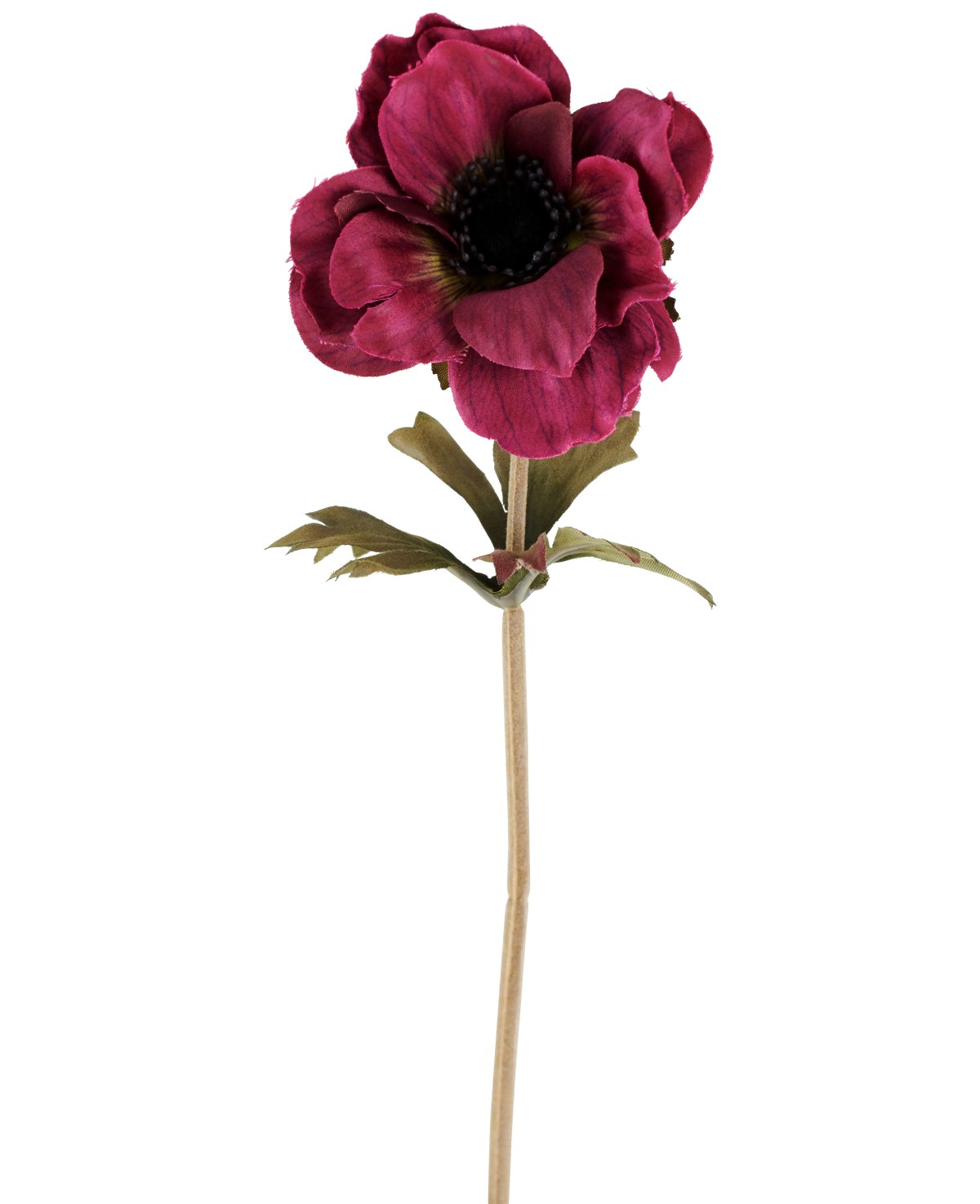 Une seule fleur d'anémone artificielle de 38 cm en rouge bordeaux, avec des pétales rose foncé superposés, un cœur foncé, des feuilles vertes et une tige longue et mince, représentée sur un fond blanc uni.