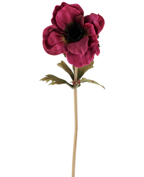 Une seule fleur d'anémone artificielle de 38 cm en rouge bordeaux, avec des pétales rose foncé superposés, un cœur foncé, des feuilles vertes et une tige longue et mince, représentée sur un fond blanc uni.