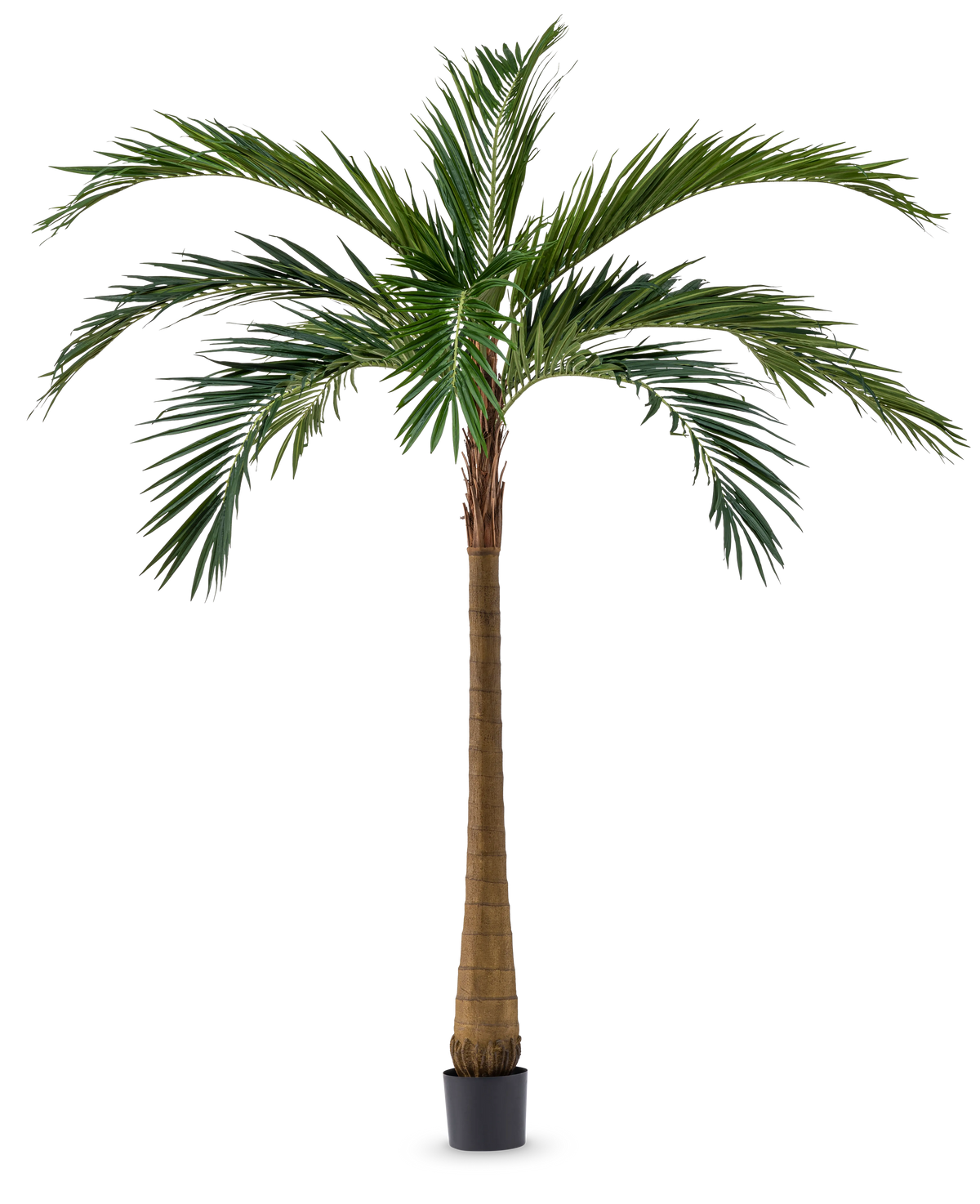 Le palmier artificiel XL Deluxe 270 cm possède un tronc brun haut et élancé et de grandes feuilles vertes qui se dressent élégamment dans un petit pot noir sur un fond blanc.