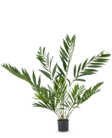 Le palmier artificiel Parlor Deluxe 90 cm est une plante en pot d'intérieur avec de longues feuilles vertes minces sur plusieurs tiges, dans un simple pot noir sur un fond blanc uni.
