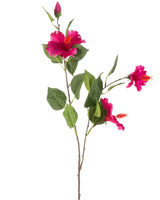 La Fleur Artificielle Hibiscus 89 cm fuchsia possède une branche aux feuilles vertes, plusieurs fleurs d'hibiscus fuchsia vibrantes et un bourgeon fermé, le tout sur un fond blanc.