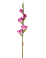 Une seule tige de glaïeul artificiel de 83 cm fuchsia a quatre fleurs rose vif sur une tige verte, sur un fond blanc uni.