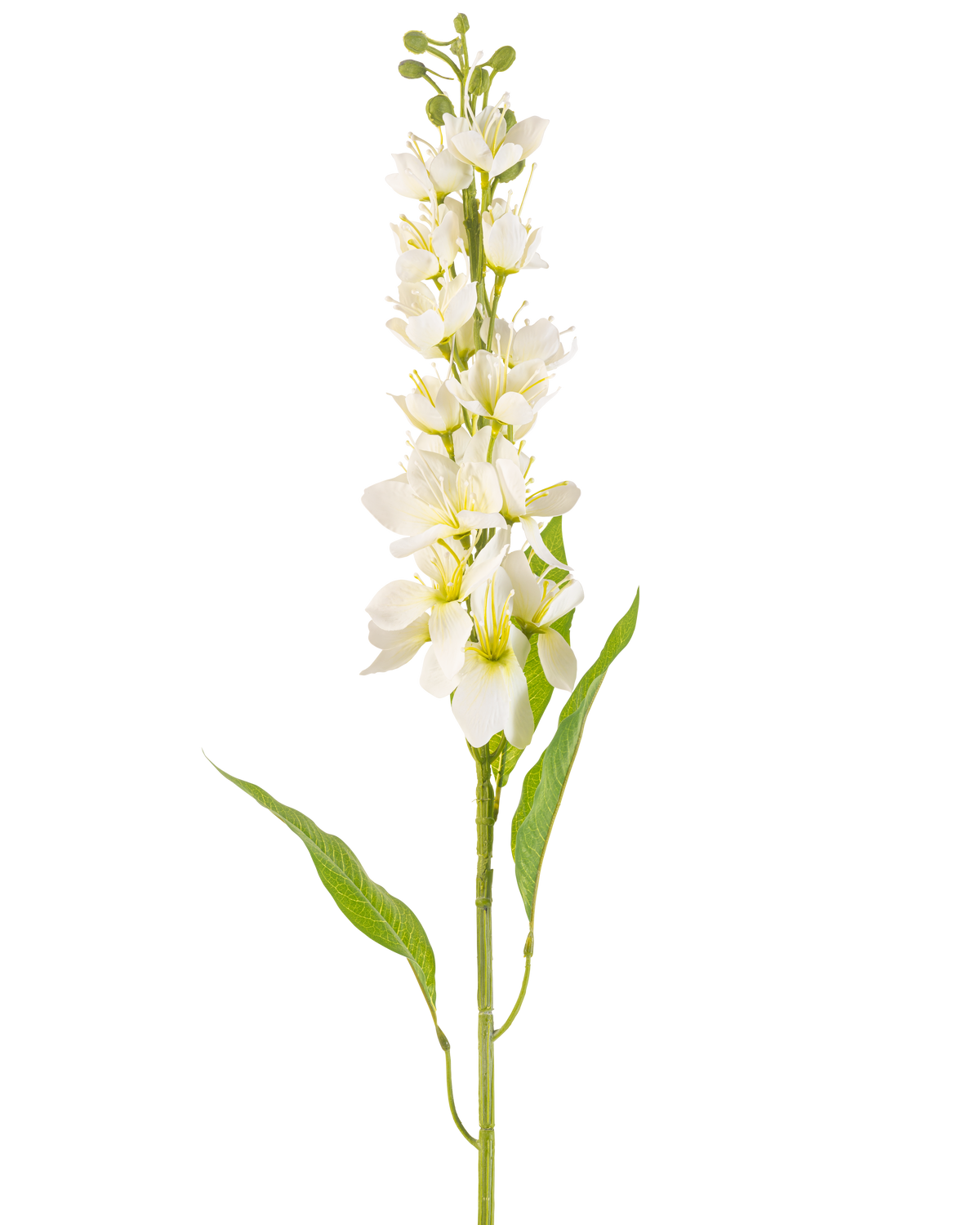 La fleur artificielle pomme asiatique 84 cm crème possède une longue tige avec plusieurs fleurs délicates de couleur crème et de longues feuilles vertes étroites sur un fond blanc uni.