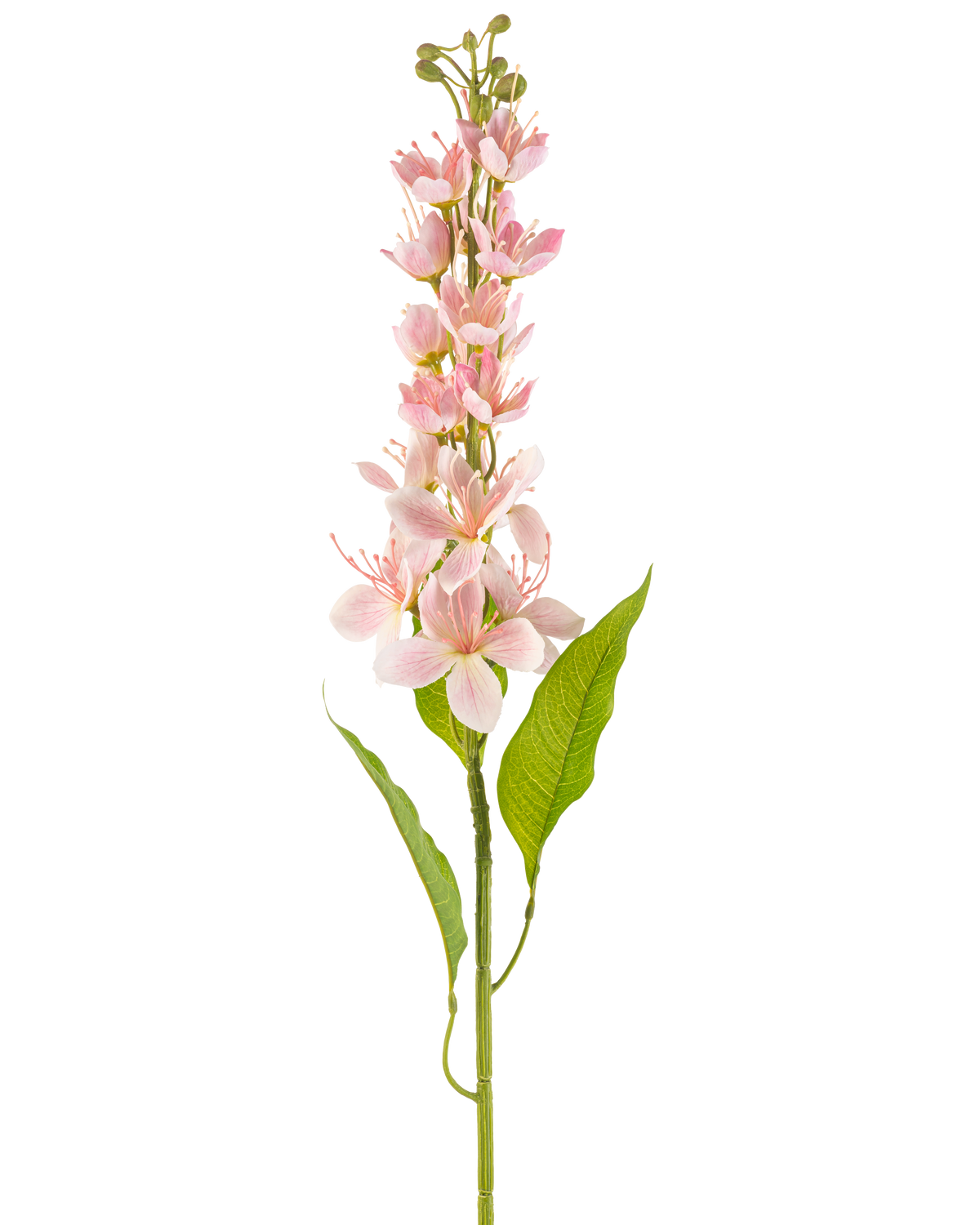 Une seule fleur artificielle pomme asiatique de 84 cm rose avec des fleurs rose pâle et de fines feuilles vertes, disposées verticalement sur un fond blanc.