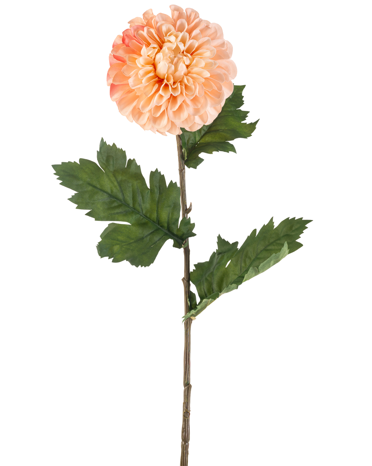 La fleur artificielle Dahlia 75 cm pêche a un dahlia de couleur pêche avec des pétales superposés et trois bouquets de feuilles vertes dentelées sur une longue tige, représentées sur un fond blanc.
