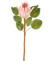 La Fleur Artificielle Protea 65 cm rose est une fleur artificielle simple de protéa rose avec de grandes feuilles vertes et une longue tige brune, sur un fond blanc uni.