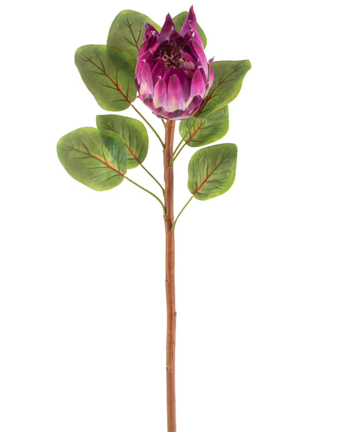 La Fleur Artificielle Protea 65 cm violette possède une seule fleur artificielle de protéa violette avec des feuilles vertes et une longue tige brune, sur un fond blanc.