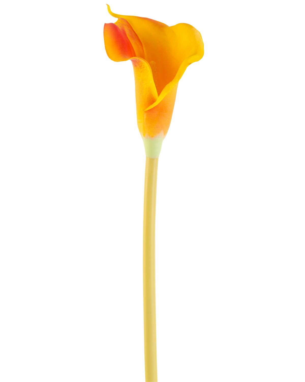 La Fleur Artificielle Calla 64 cm orange possède un seul lys calla orange avec une tige longue et fine, isolée sur un fond blanc.