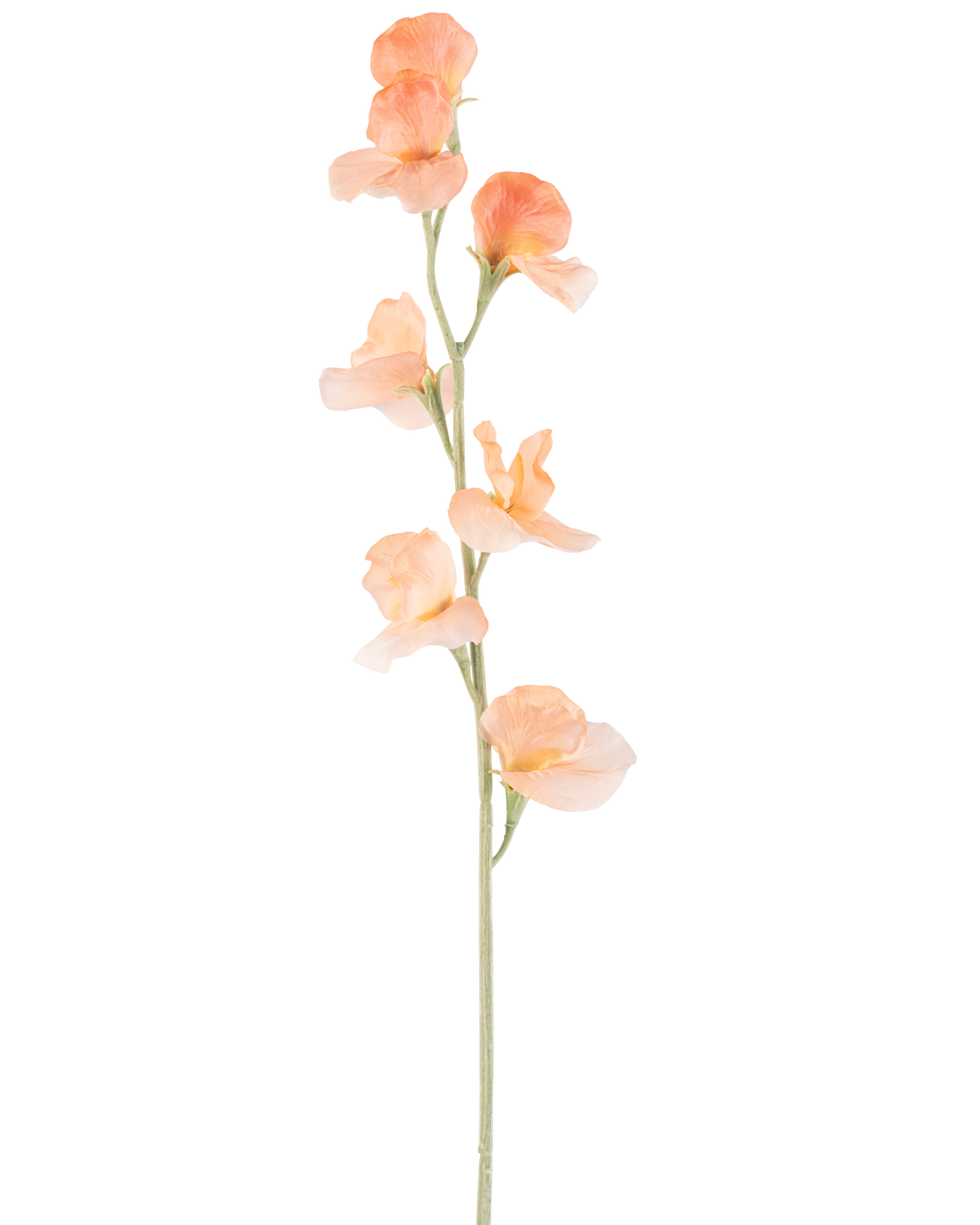 Une seule fleur artificielle de pois pêche de 64 cm a un pois artificiel de couleur pêche clair avec des volants dans les pétales et une tige verte, isolée sur du blanc.