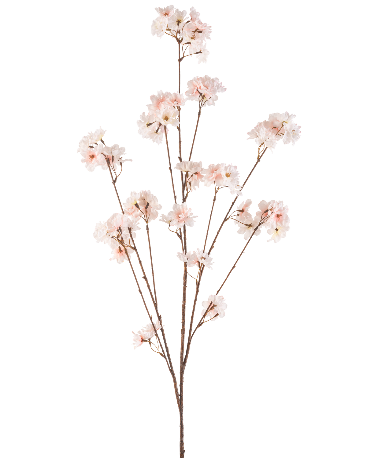 La Fleur Artificielle Fleur de Cerisier 130 cm blush possède de multiples tiges fines avec des bouquets de délicates fleurs de cerisier rose clair sur un fond blanc uni.