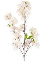 Une fleur de cerisier artificielle de 119 cm crème avec des grappes de fleurs blanches délicates et quelques feuilles vert vif sur de fines tiges brunes, isolées sur un fond blanc.