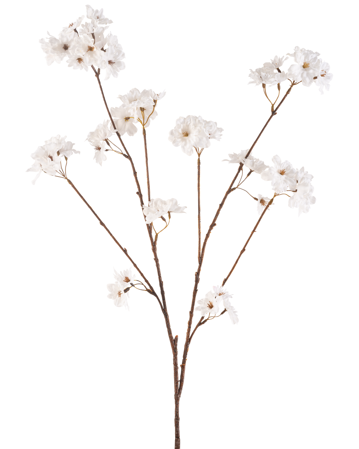 La Fleur de Cerisier Artificielle 114 cm crème a une tige brune qui se ramifie en tiges plus petites, chacune décorée de délicates fleurs artificielles dans une teinte blanc crème, sur un fond blanc uni.