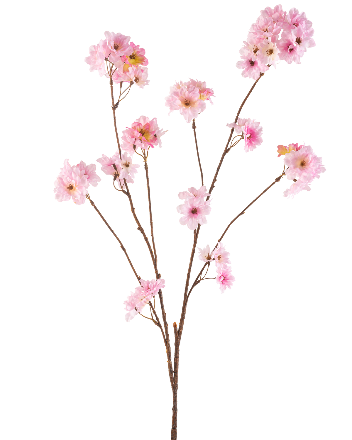 La Fleur de Cerisier Artificielle 114 cm rose possède plusieurs fines tiges brunes avec des bouquets de fleurs de cerisier rose tendre sur un fond blanc uni.