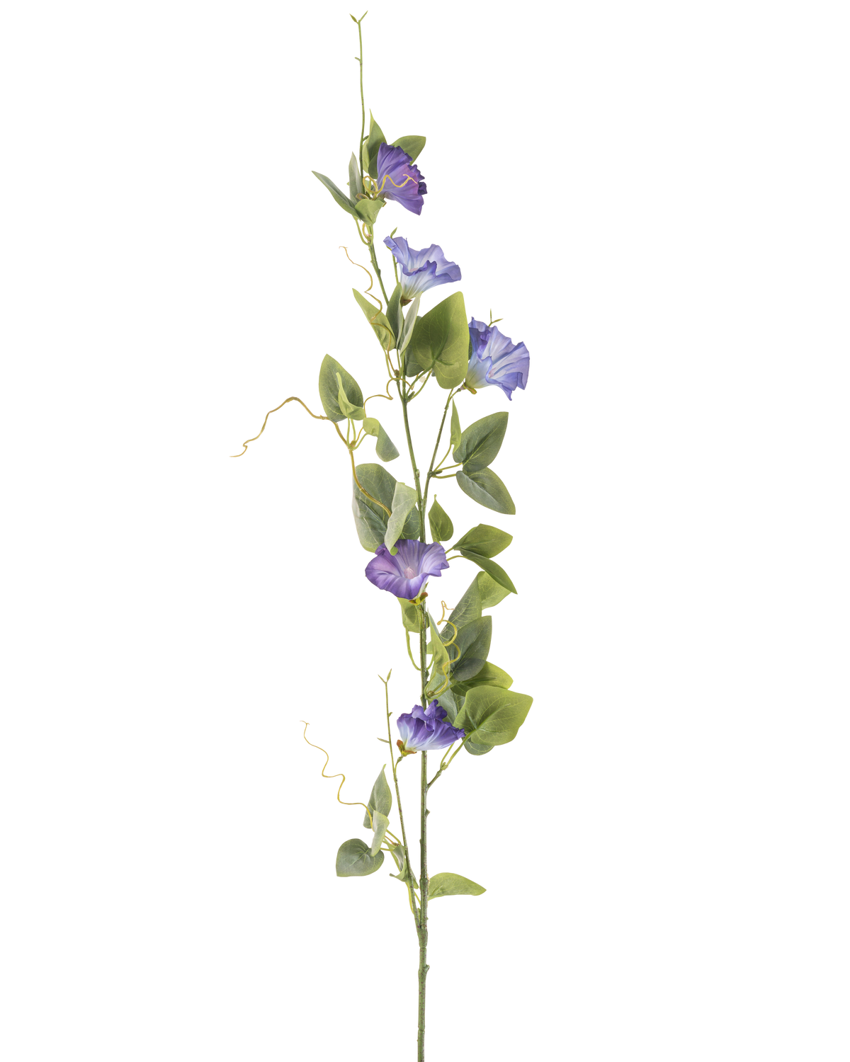 La Fleur Artificielle Liseron 122 cm violet a une longue tige verte avec plusieurs feuilles vertes et des fleurs artificielles violettes en forme de trompette, disposées verticalement sur un fond blanc uni.