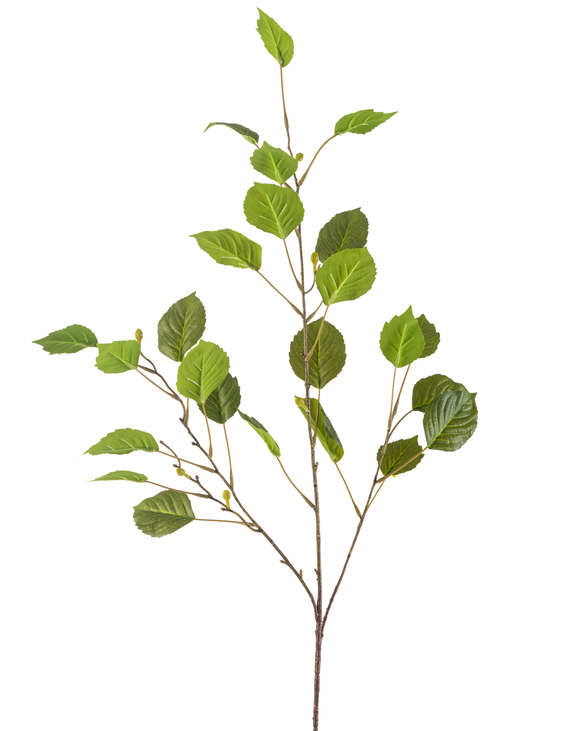 La Branche Artificielle 118 cm verte est une branche unique et fine comportant de multiples feuilles vertes et de petits bourgeons, isolées sur un fond blanc.