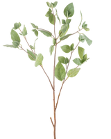 La Branche Artificielle Feuille de Menthe 97 cm verte possède plusieurs tiges fines avec des feuilles ovales vertes sur un fond blanc uni.