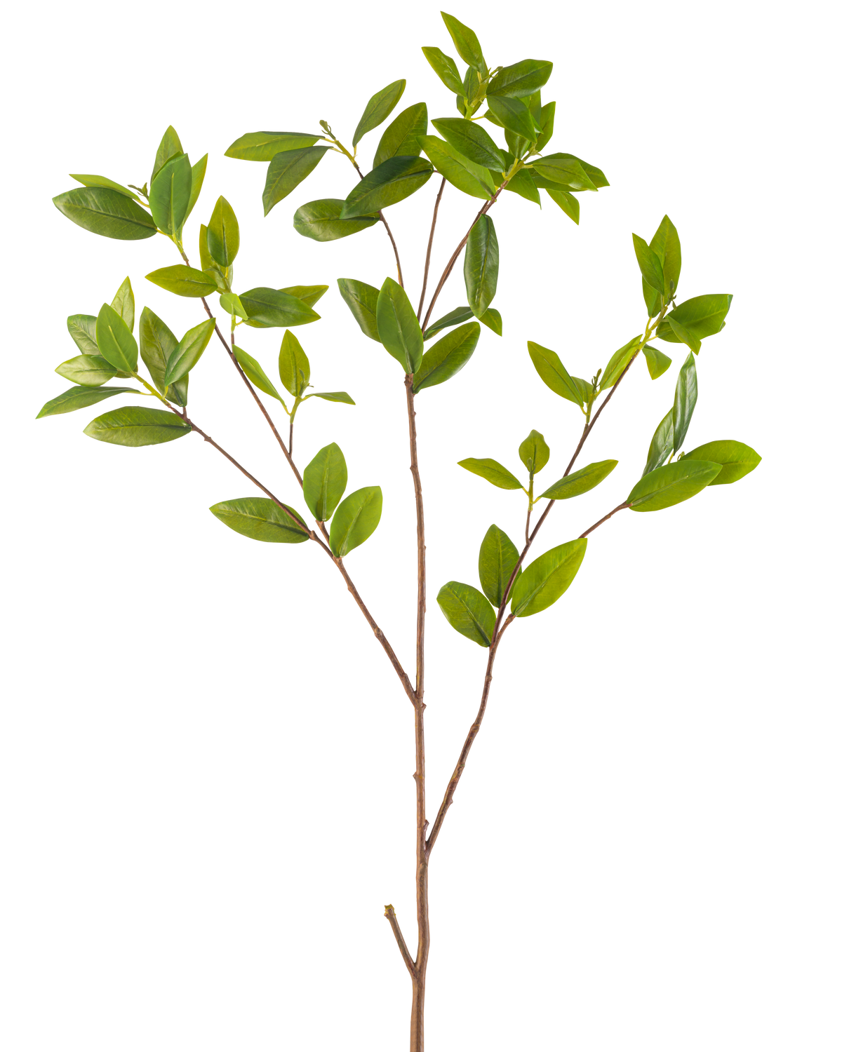 La Branche Artificielle Feuilles 117 cm verte possède une branche artificielle élancée avec de multiples ramifications, chacune avec des grappes de feuilles vertes lisses, sur un fond blanc uni.