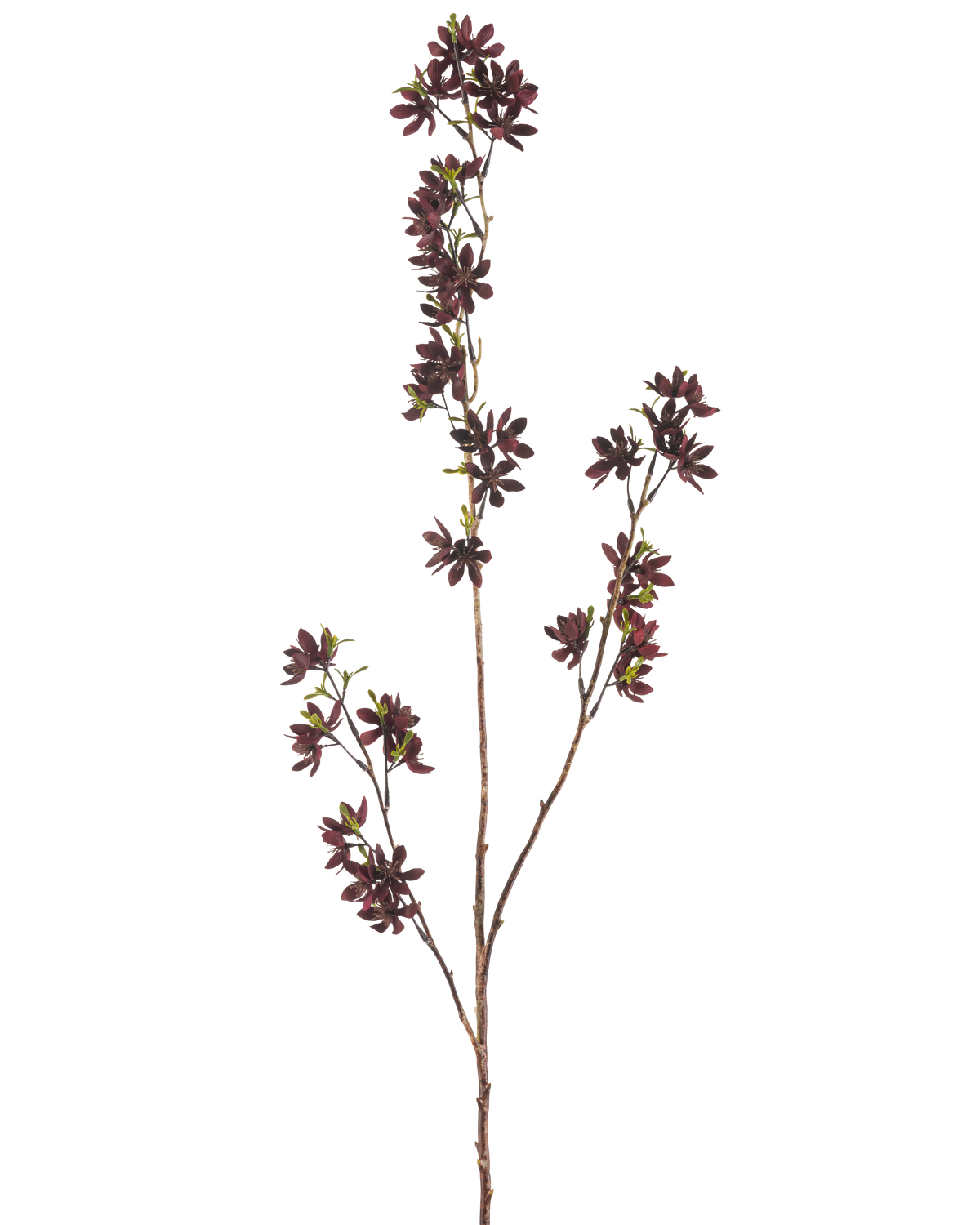 La fleur artificielle Flowers 102 cm bordeaux possède une branche haute avec plusieurs tiges fines, chacune avec de petites fleurs bordeaux foncé et quelques feuilles vertes, sur un fond uni blanc.