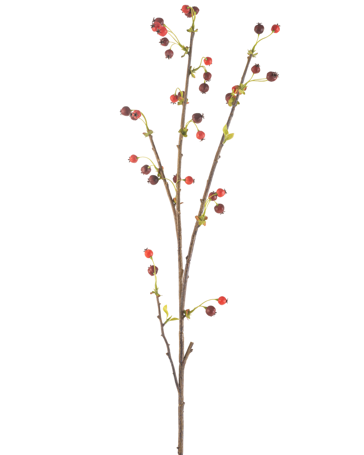 La Fleur Artificielle Rose Musquée 112 cm rouge possède une seule branche marron avec de petites baies rouges et violet foncé et quelques feuilles vert clair, sur un fond uni blanc.