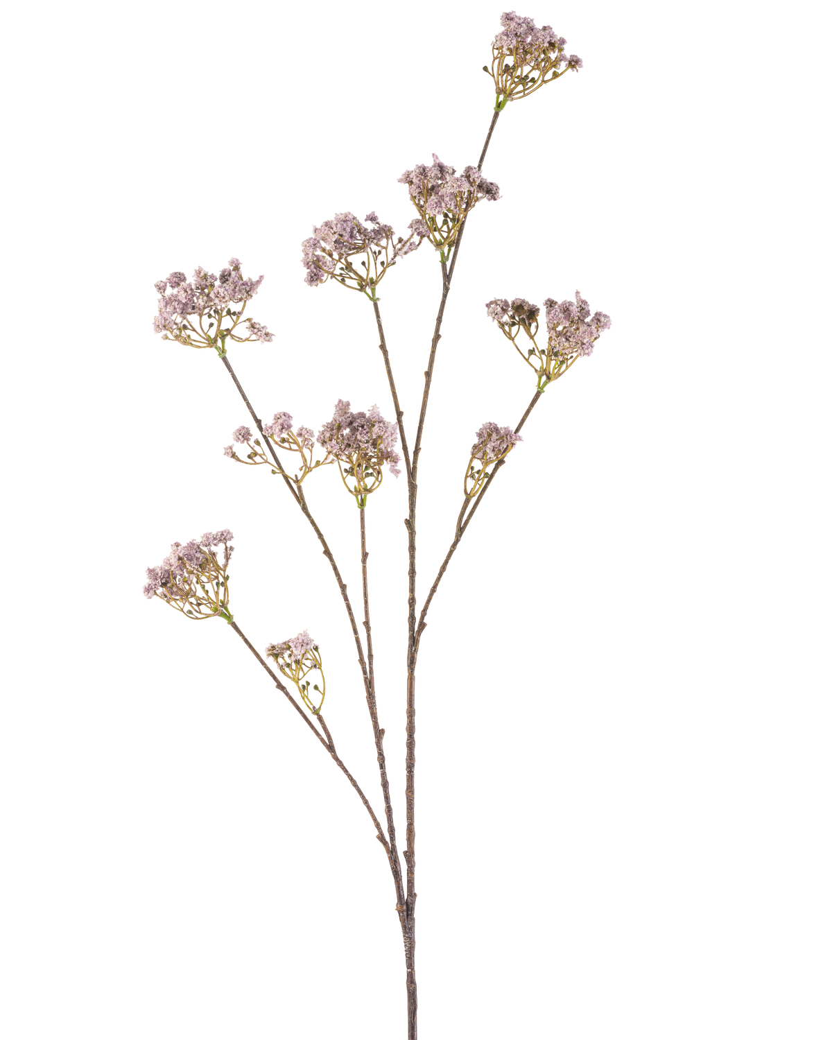 La Fleur Artificielle Baby's Breath 112 cm lilas possède une tige élancée aux multiples branches, chacune décorée de bouquets de délicates fleurs violet clair, sur un fond uni blanc.