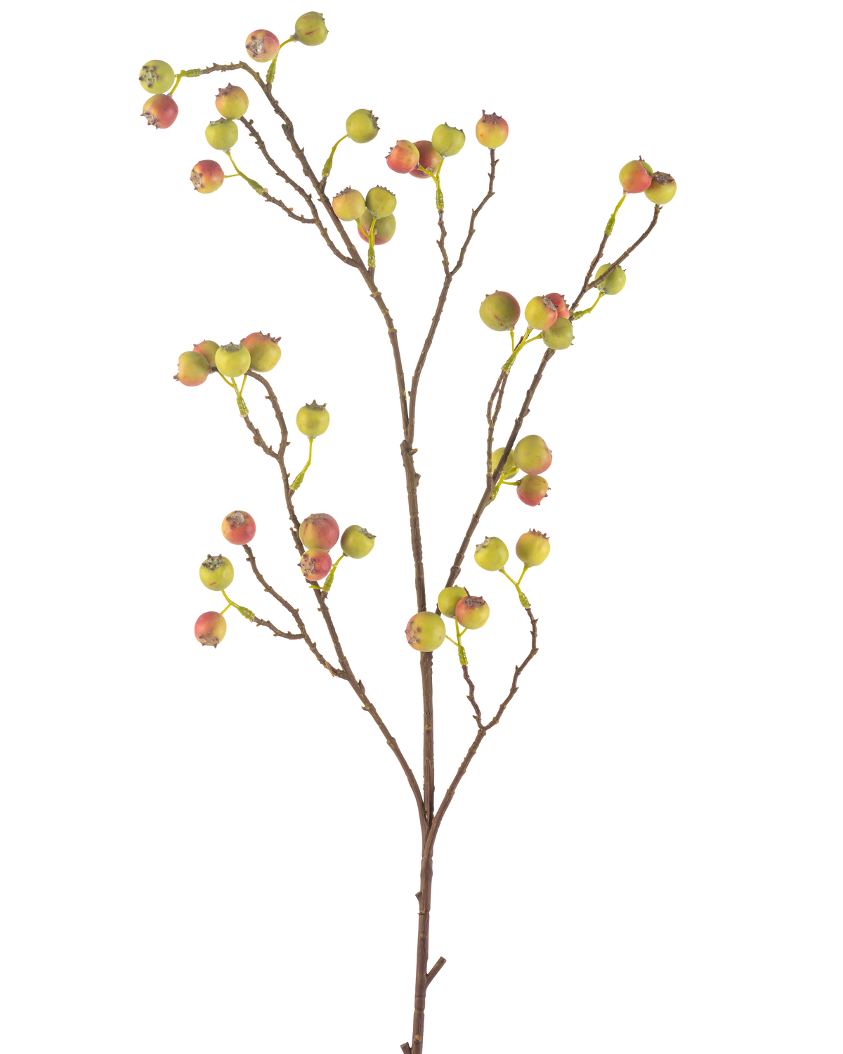 La Fleur Artificielle Baie d'Aubépine 104 cm vert/rouge possède une fine tige brune avec plusieurs ramifications, chacune décorée de grappes de petites baies vertes et rouges, sur un fond blanc.