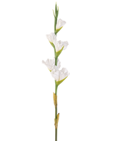 La Fleur Artificielle Glaïeul 83 cm blanc est une seule tige de glaïeul artificiel blanc avec de multiples fleurs et bourgeons verts, debout sur un fond blanc uni.