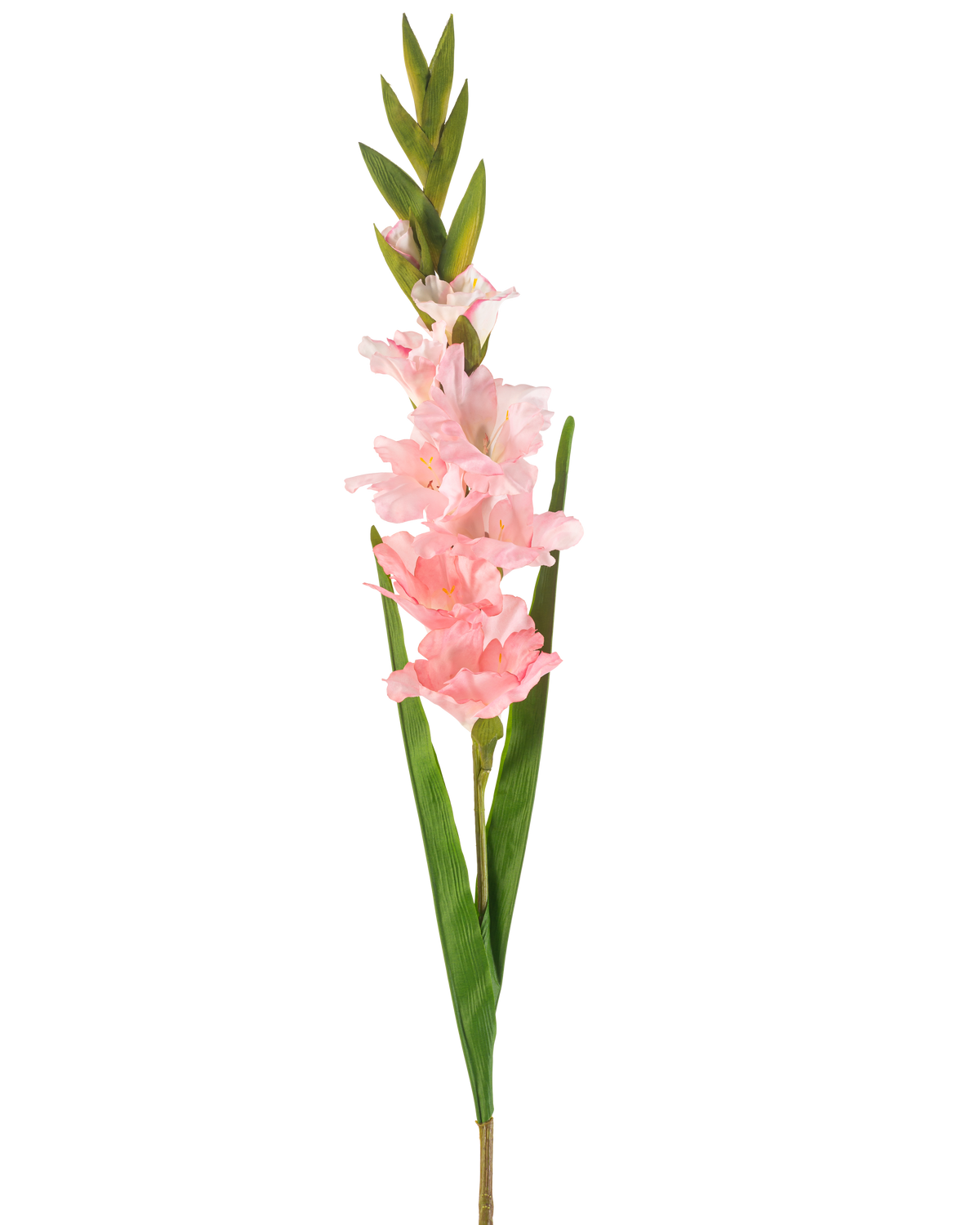 La fleur artificielle Gladiolus 93 cm rose a une seule tige avec plusieurs fleurs rose tendre et de longues feuilles vertes, représentées sur un fond blanc.