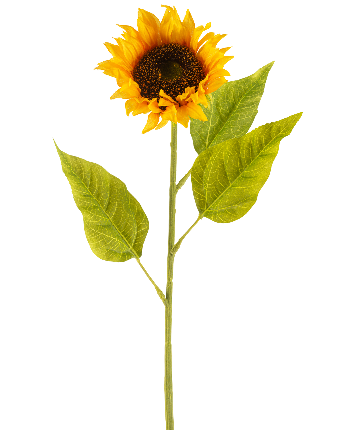 La Fleur Artificielle Tournesol 71 cm jaune est un tournesol artificiel avec des pétales jaune vif, un cœur marron foncé et trois grandes feuilles vertes sur une longue tige verte, sur un fond uni blanc.