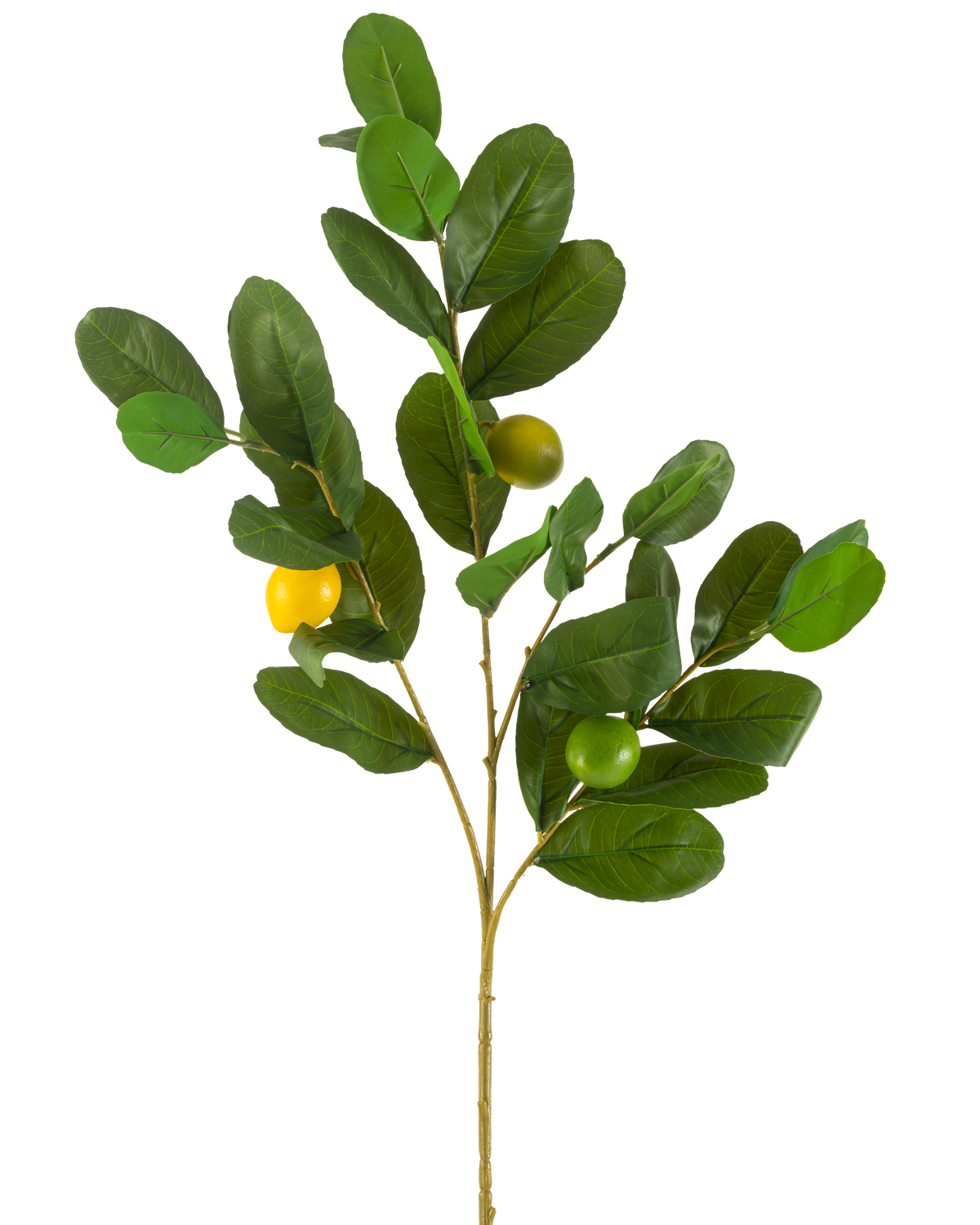 La Branche Artificielle Citron 80 cm vert possède une branche avec de larges feuilles vertes brillantes et trois fruits ronds jaune-vert, sur un fond uni blanc.