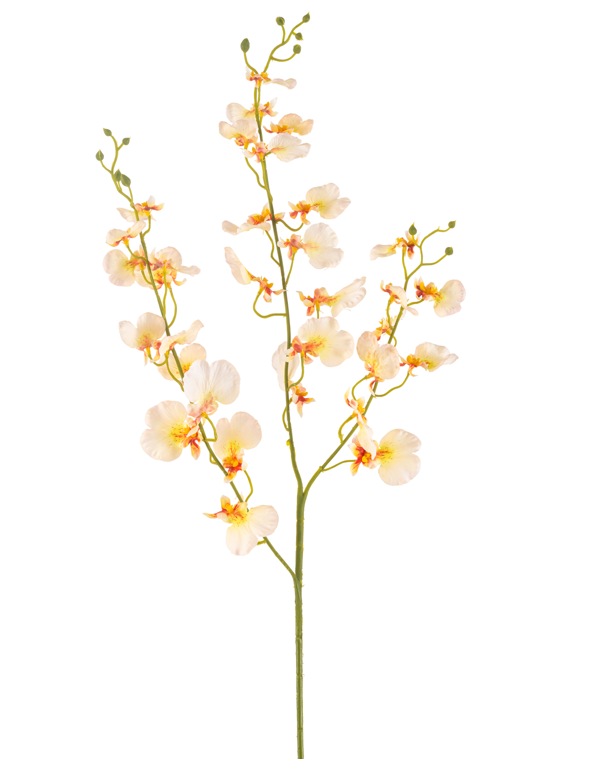 La fleur d'orchidée artificielle 98 cm jaune clair a une longue tige verte avec de multiples branches et de délicates orchidées jaune clair, chacune avec un doux cœur orange et rouge, le tout sur un fond blanc.