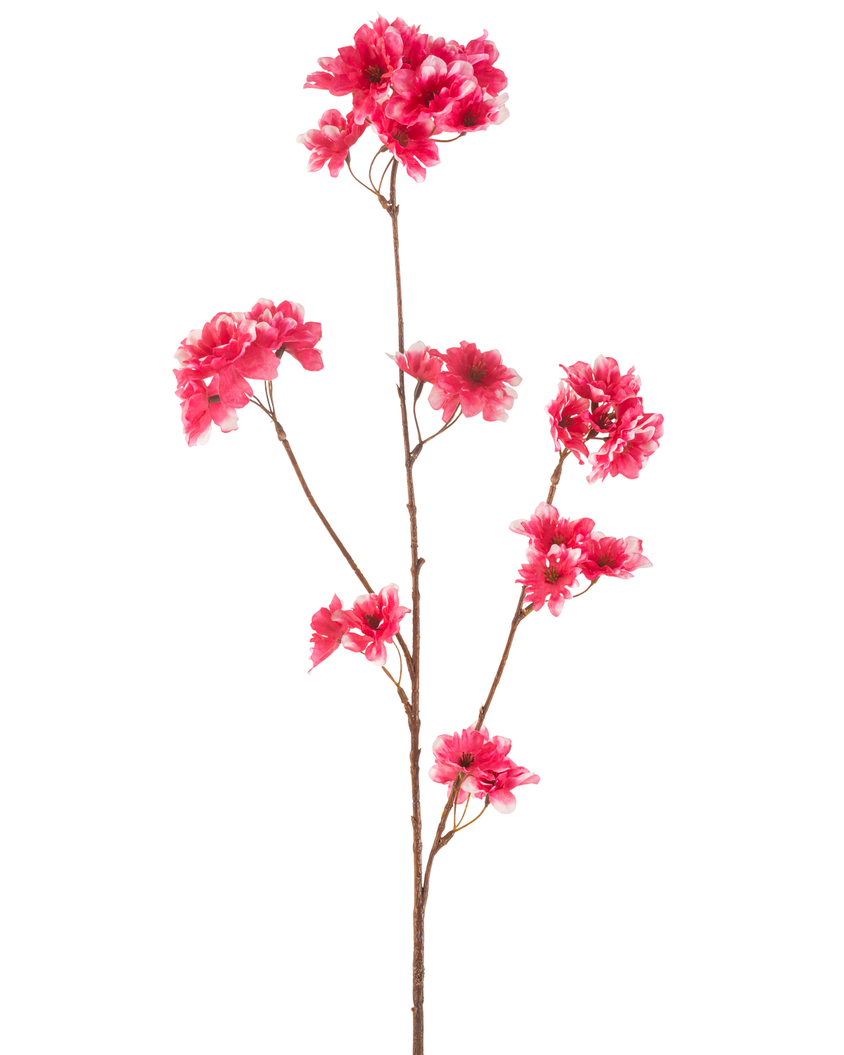 La Fleur de Cerisier Artificielle 85 cm fuchsia a une seule tige marron avec de multiples branches, chacune décorée de grappes de fleurs de cerisier artificielles fuchsia vibrantes, sur un fond blanc uni.