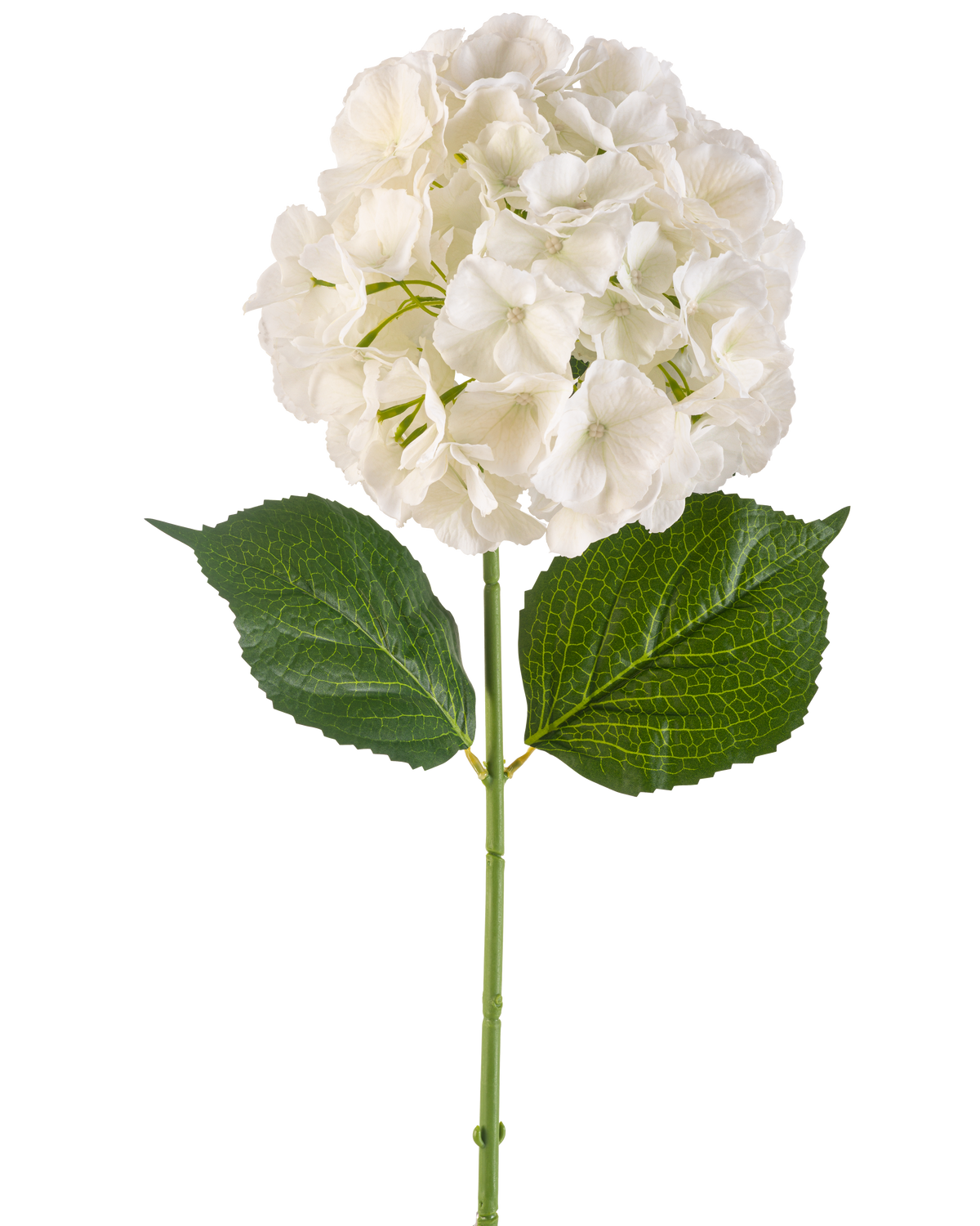 La Fleur Artificielle Hortensia 75 cm crème possède une seule fleur d'hortensia de couleur crème avec de multiples pétales et trois grandes feuilles vertes sur une longue tige verte, isolée sur un fond blanc.