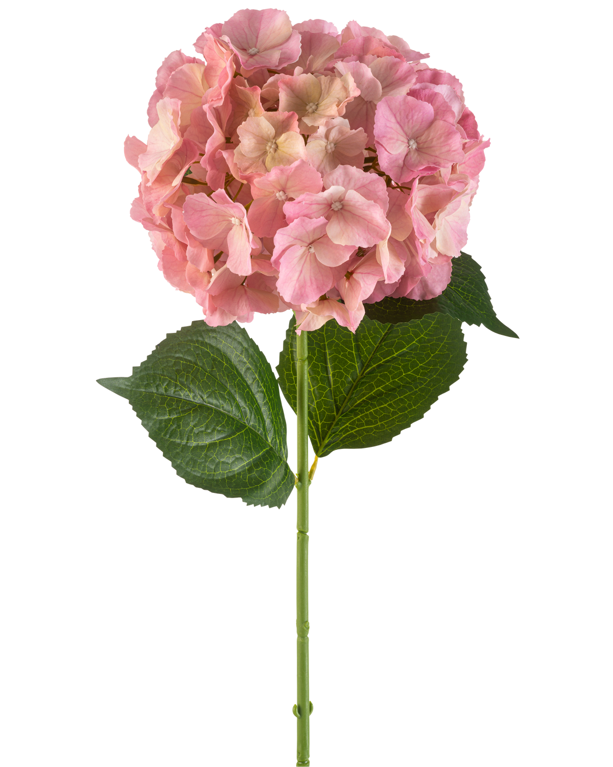 La fleur artificielle Hortensia 75 cm rose possède une seule fleur d'hortensia rose aux pétales fins et deux grandes feuilles vertes sur une longue tige verte, sur un fond blanc.