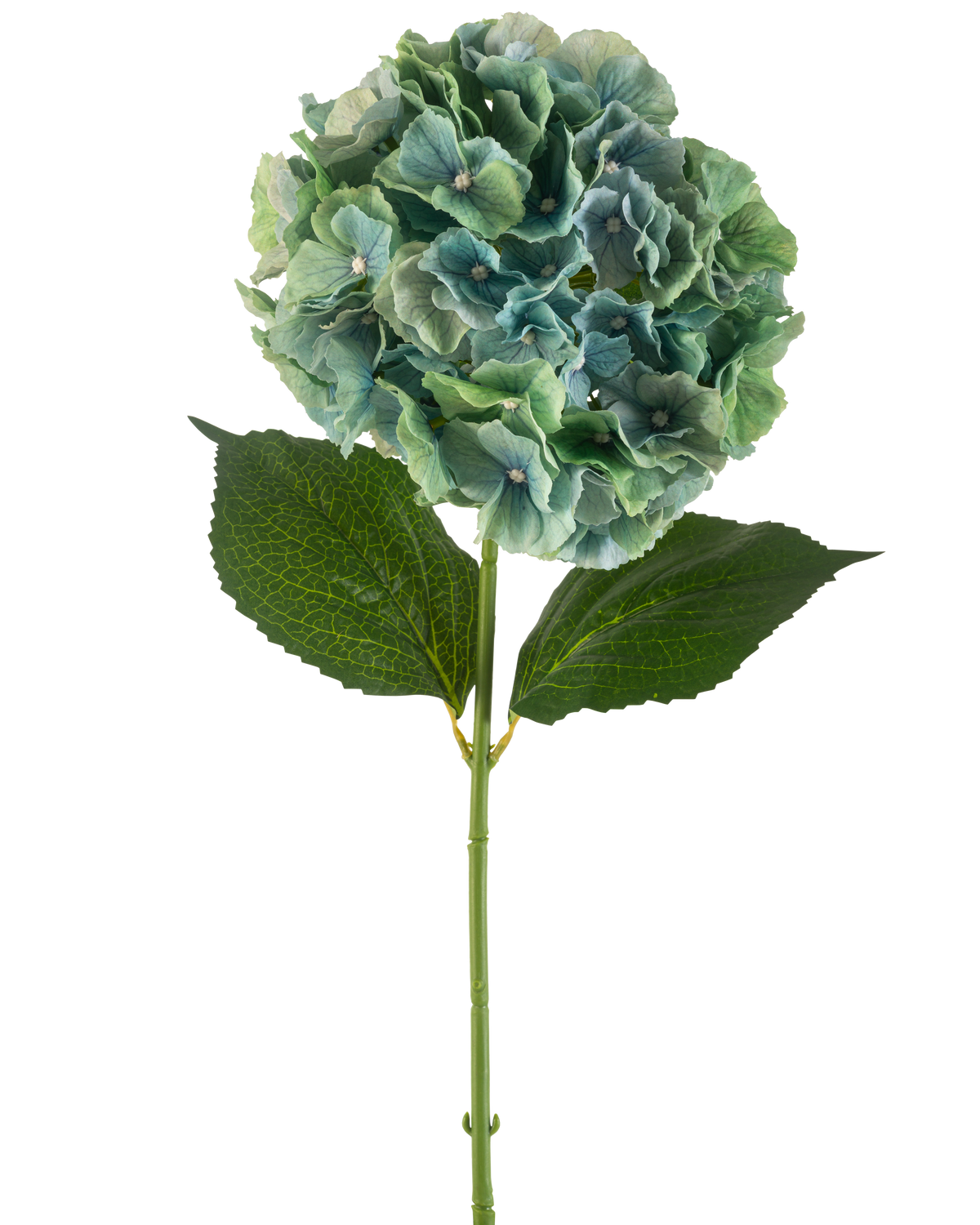 L'Hortensia Fleur Artificielle 75 cm bleu paon possède un seul hortensia artificiel bleu avec des grappes rondes de pétales et deux grandes feuilles vertes sur une longue tige, isolées sur un fond blanc.