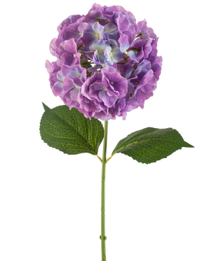 La fleur d'hortensia artificielle 75 cm violet possède une seule tige d'hortensia artificielle avec de grandes grappes rondes de pétales violets et deux larges feuilles vertes, sur un fond blanc.