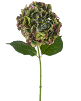 La fleur artificielle Hortensia 75 cm vert a une seule tige d'hortensia avec deux grandes feuilles vertes et une pleine floraison de pétales verts, violets et bordeaux, sur un fond blanc.