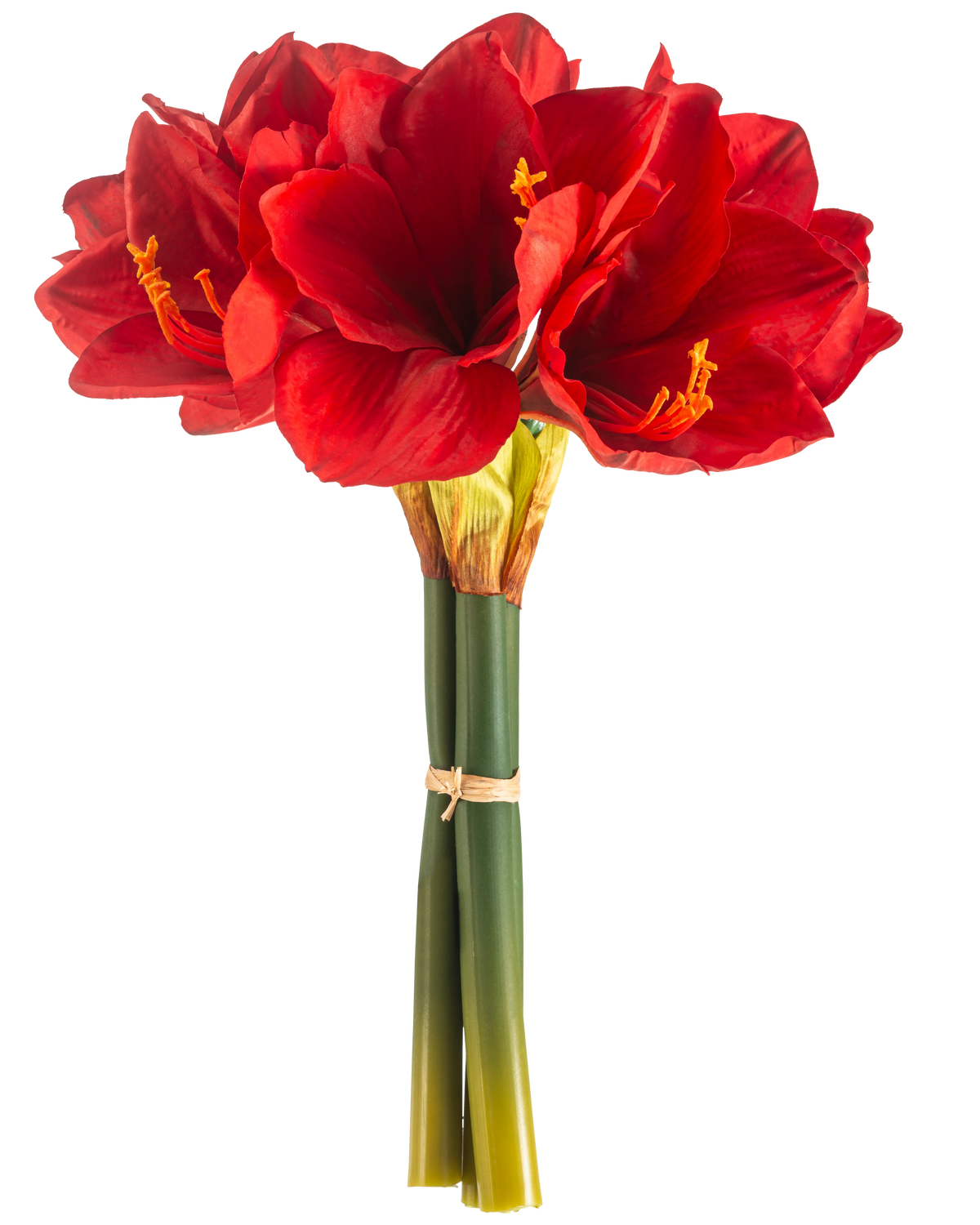 La Fleur Artificielle Amaryllis Real Touch rouge 36 cm présente des fleurs d'amaryllis rouge vif avec des tiges vertes, liées entre elles par un élastique, sur un fond blanc uni.