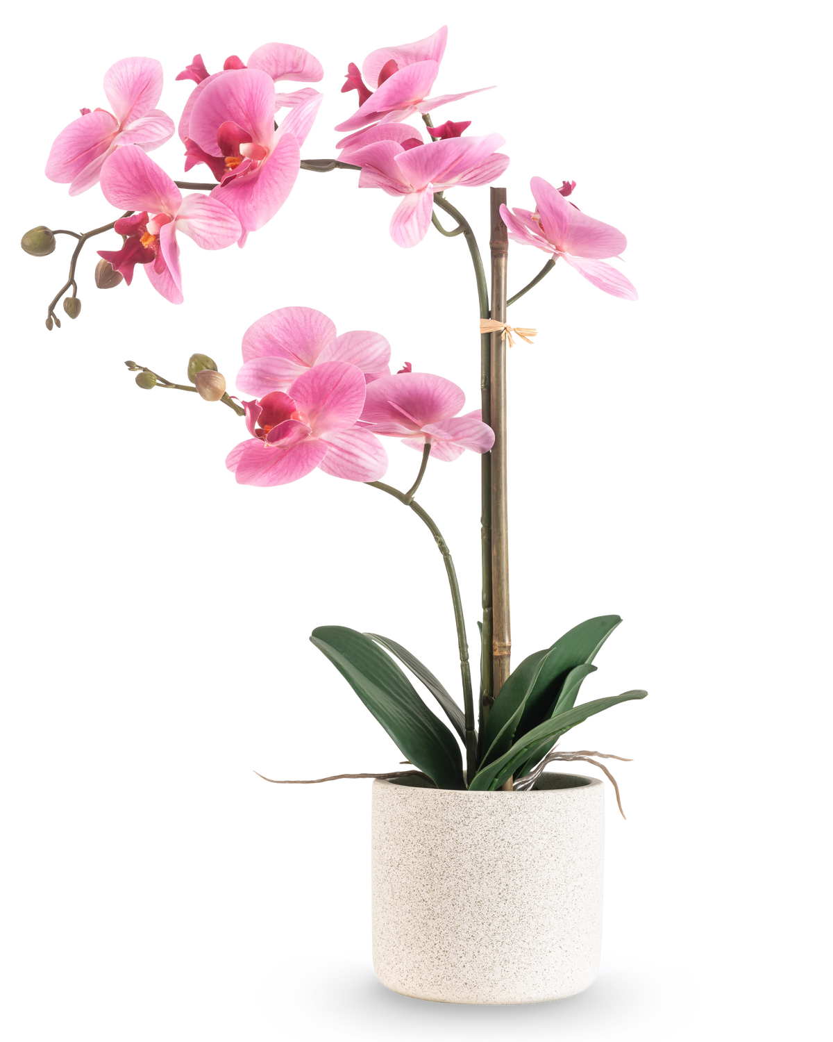 L'Orchidée Artificielle Real Touch 60 cm rose/blanc présente une orchidée rose et blanche avec diverses fleurs et feuilles vertes dans un pot blanc texturé, soutenue par un fin bâton de bambou, sur un fond blanc uni.