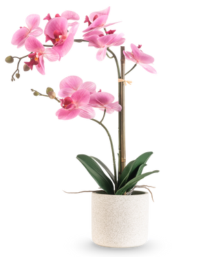 L'Orchidée Artificielle Real Touch 60 cm rose/blanc présente une orchidée rose et blanche avec diverses fleurs et feuilles vertes dans un pot blanc texturé, soutenue par un fin bâton de bambou, sur un fond blanc uni.