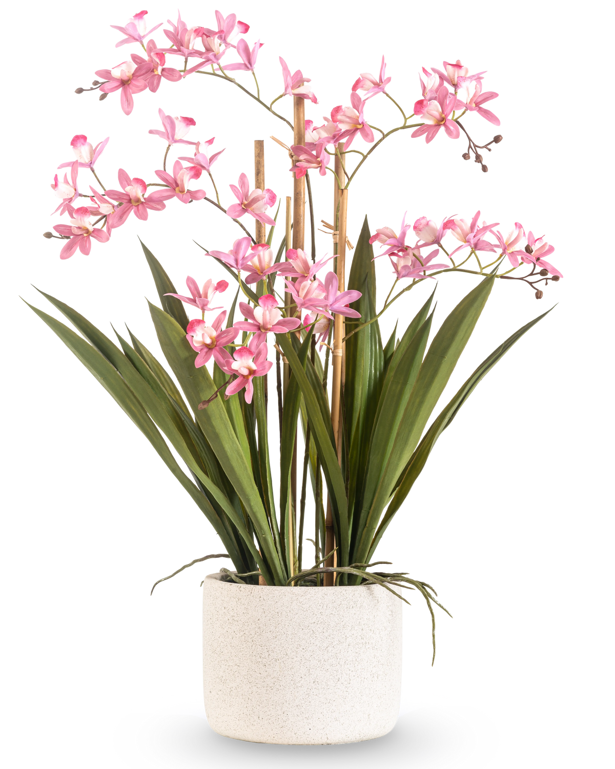 La Plante Artificielle Mini Cymbidium Real Touch 58 cm rose possède de longues feuilles vertes et de multiples tiges de fleurs roses, disposées dans un pot cylindrique blanc structuré, sur un fond blanc uni.