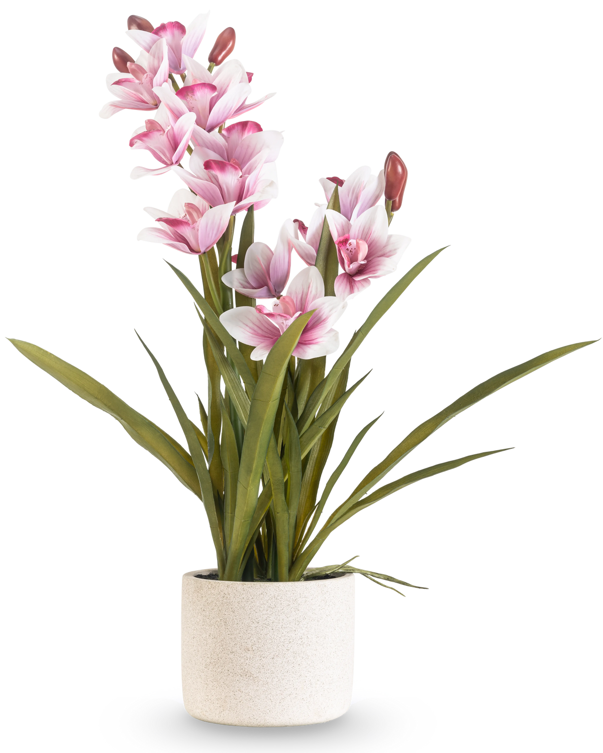 Le Cymbidium artificiel Real Touch 60 cm rose possède de longues feuilles vertes et de multiples orchidées roses et blanches sur de longues tiges, disposées dans un simple pot texturé blanc cassé sur un fond uni.