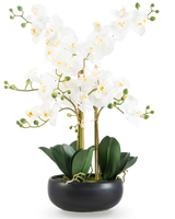 L'Orchidée artificielle Real Touch 50 cm blanche en pot noir est un présentoir élégant avec des fleurs d'orchidées blanches au cœur jaune, des bourgeons verts et de larges feuilles vert foncé dans un pot en céramique noire.