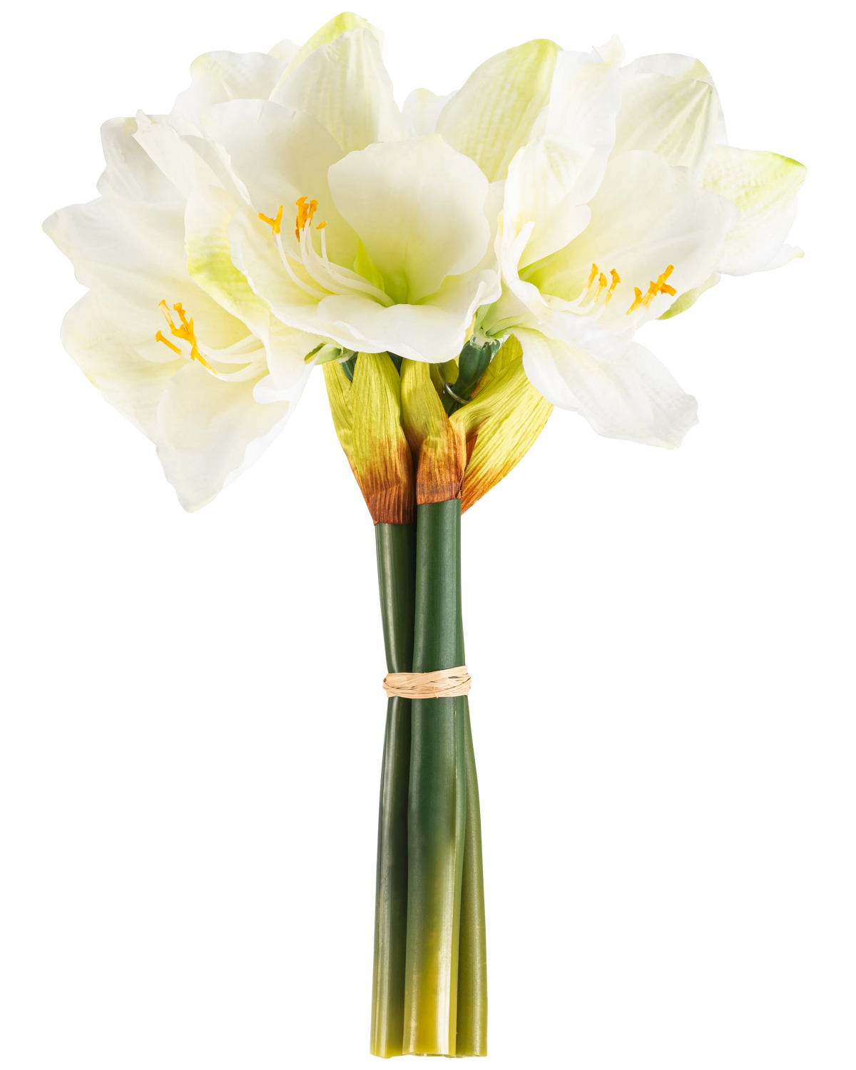 La Fleur Artificielle Amaryllis Real Touch blanche 36 cm présente des fleurs d'amaryllis blanches réalistes avec un centre vert clair et des étamines jaunes, nouées avec une bande beige autour de tiges vertes, parfaites sur un fond blanc uni.