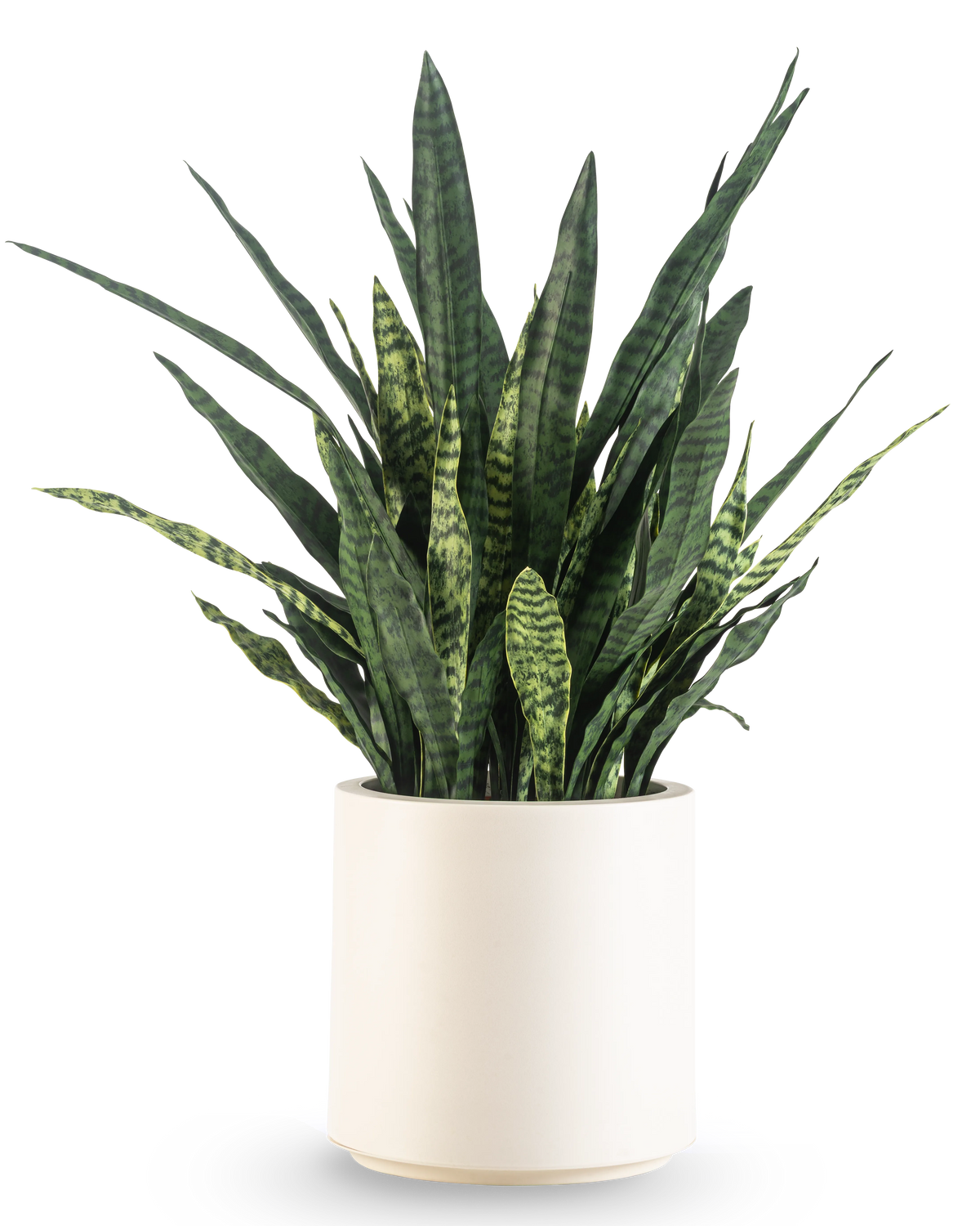 Un Sansevieria Zeylanica artificiel, de 43 cm de haut avec de longues feuilles panachées, est présenté dans un pot beige et est représenté sur un fond blanc uni.