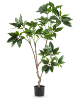 La plante artificielle Schefflera de 120 cm possède plusieurs tiges fines brunes avec des bouquets de grandes feuilles vertes brillantes dans un petit pot noir, sur un fond blanc uni.