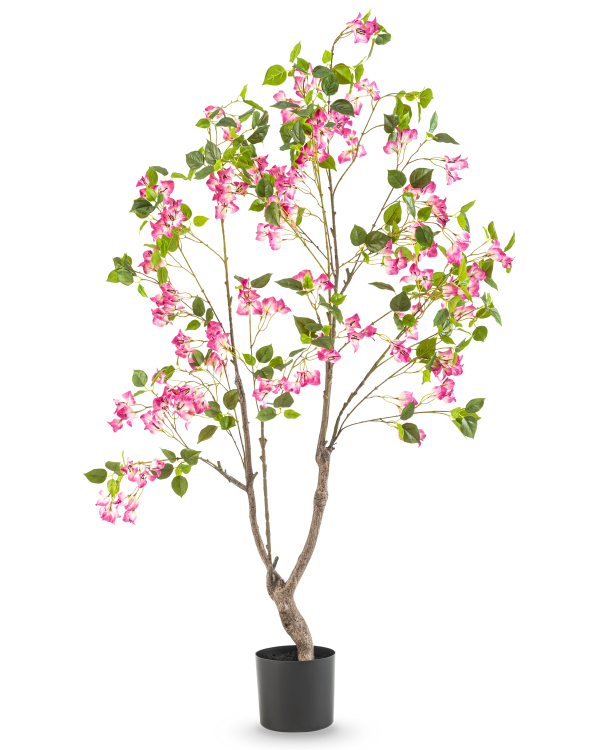 Le Bougainvillier Artificiel 150 cm est une grande plante artificielle avec de multiples branches, des feuilles vertes et des fleurs rose vif dans un pot noir, sur un fond blanc uni.