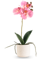 L'Orchidée Artificielle Real Touch 30 cm rose a plusieurs fleurs et boutons roses sur une longue tige avec de larges feuilles vertes et des racines visibles, le tout disposé dans un simple pot blanc texturé sur un fond blanc uni.