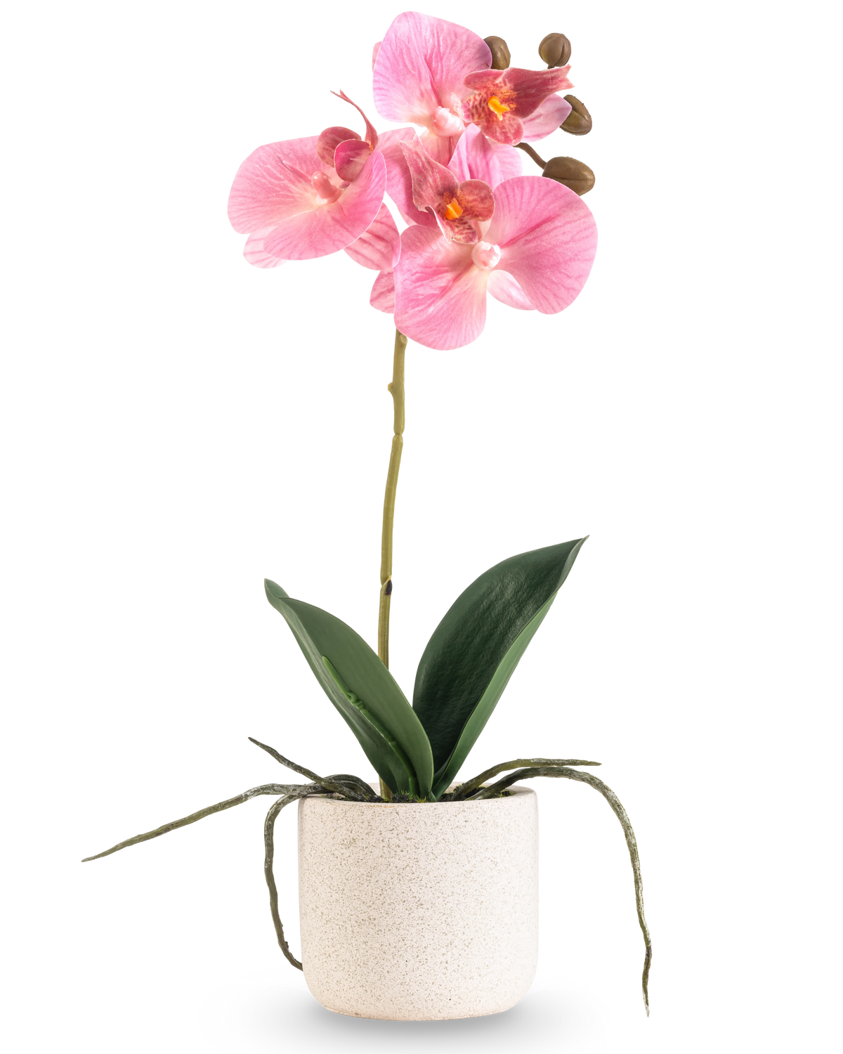 L'Orchidée Artificielle Real Touch 30 cm rose a plusieurs fleurs et boutons roses sur une longue tige avec de larges feuilles vertes et des racines visibles, le tout disposé dans un simple pot blanc texturé sur un fond blanc uni.