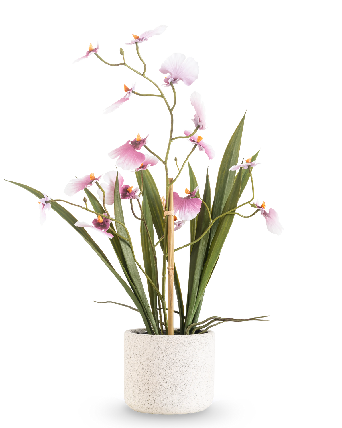 L'Oncidium artificiel Real Touch 48 cm rose présente une grande orchidée avec de longues feuilles vertes et de délicates fleurs roses sur des tiges courbées, dans un pot blanc texturé sur un fond blanc uni.